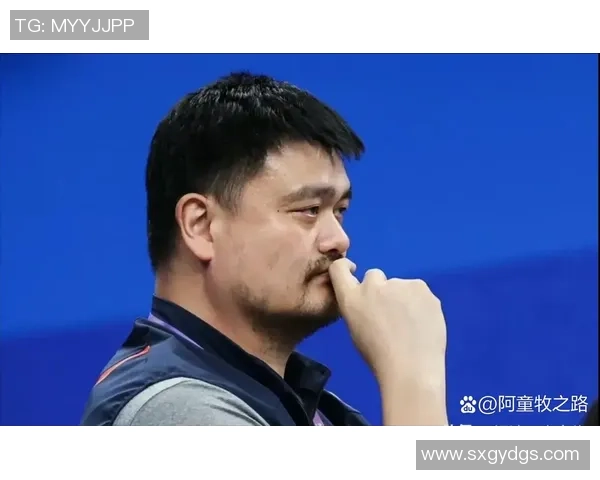 姚明重返CBA担任记者引发热议球迷期待他的独特视角与分析